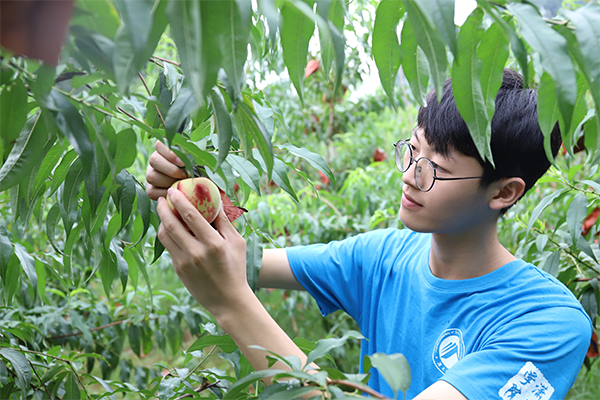 3044am永利集团官网