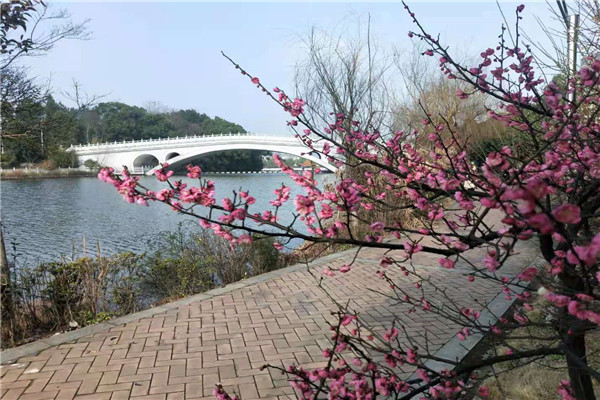 3044am永利集团官网