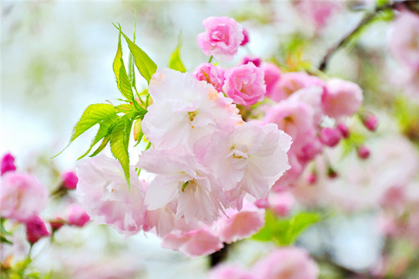 3044am永利集团官网