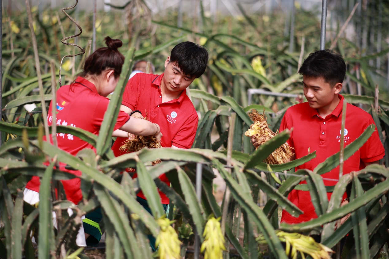 3044am永利集团官网