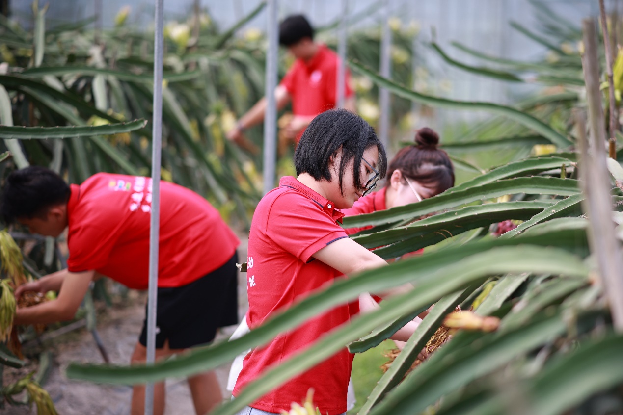 3044am永利集团官网