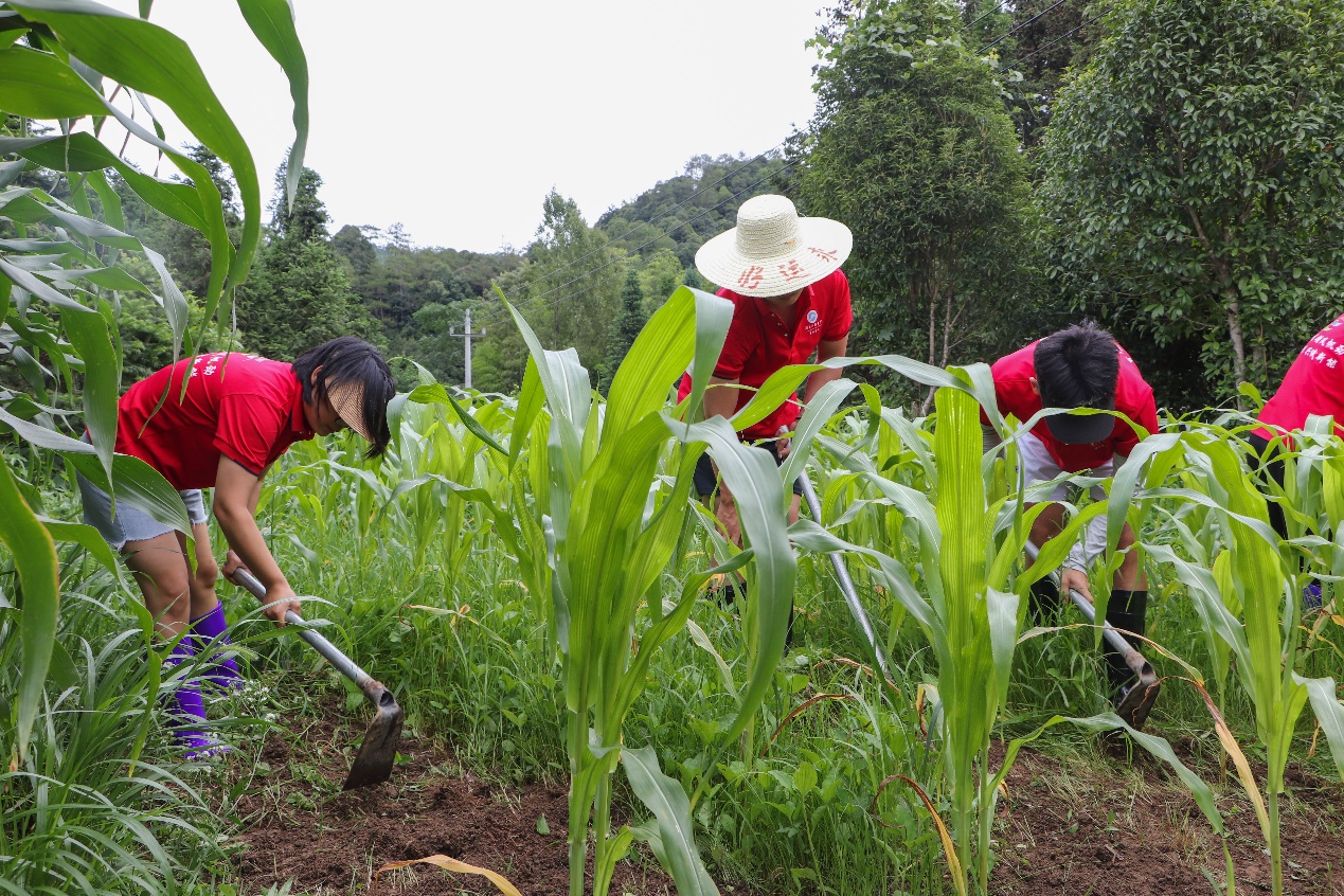3044am永利集团官网