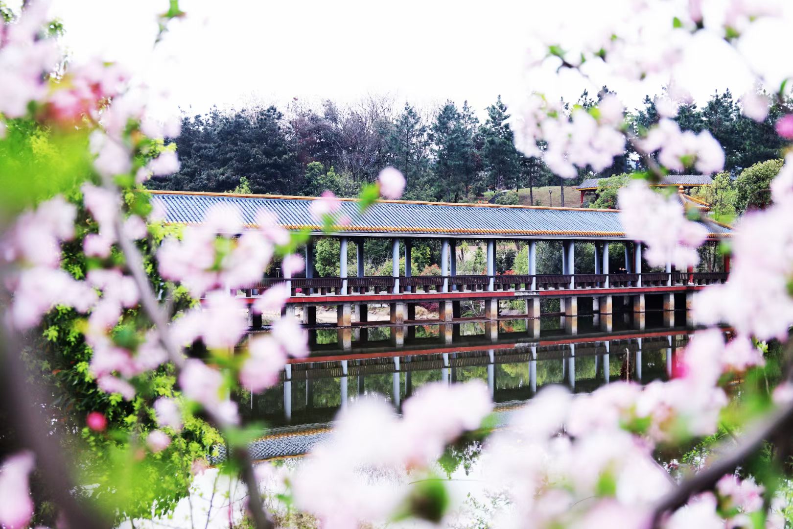 3044am永利集团官网