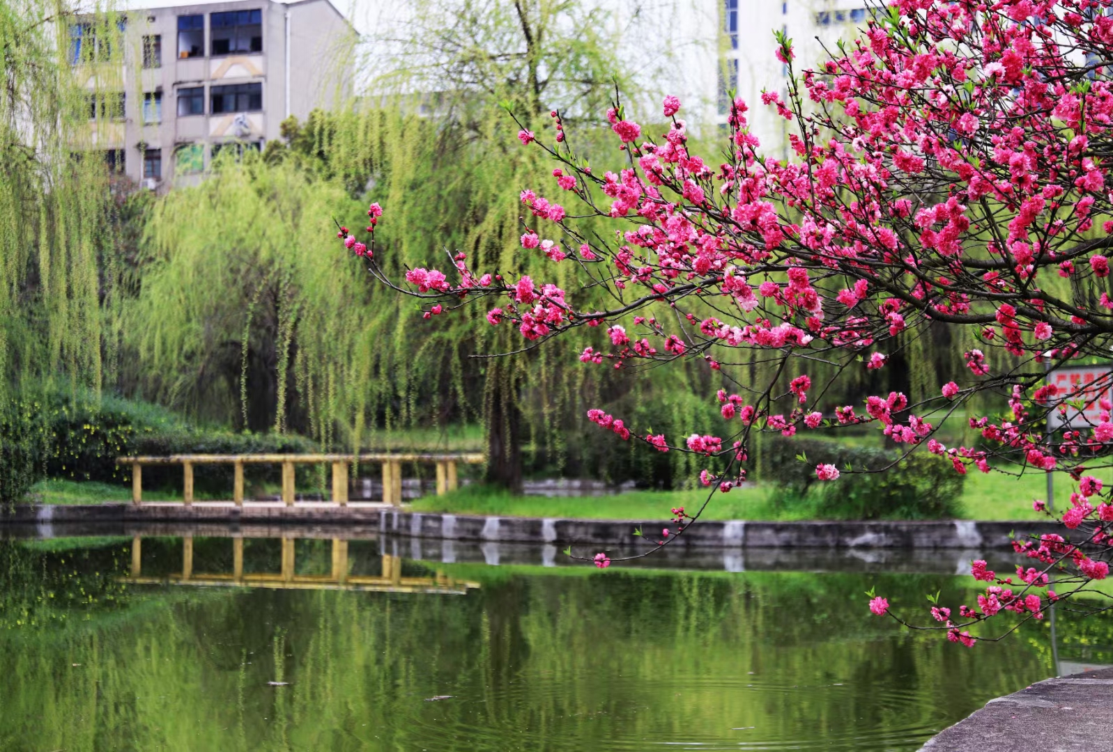 3044am永利集团官网