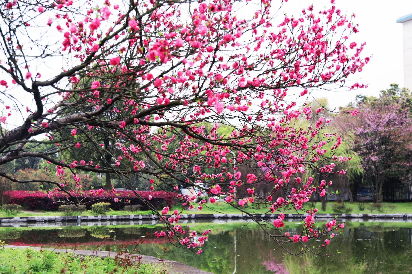 3044am永利集团官网