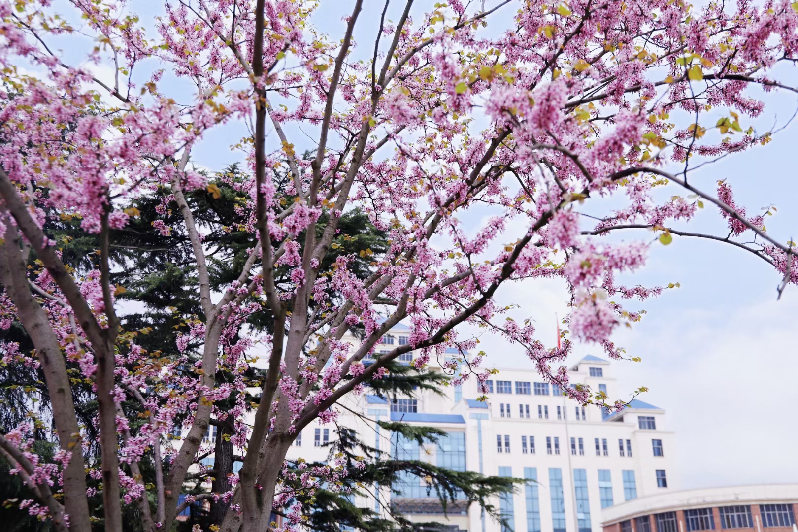 3044am永利集团官网