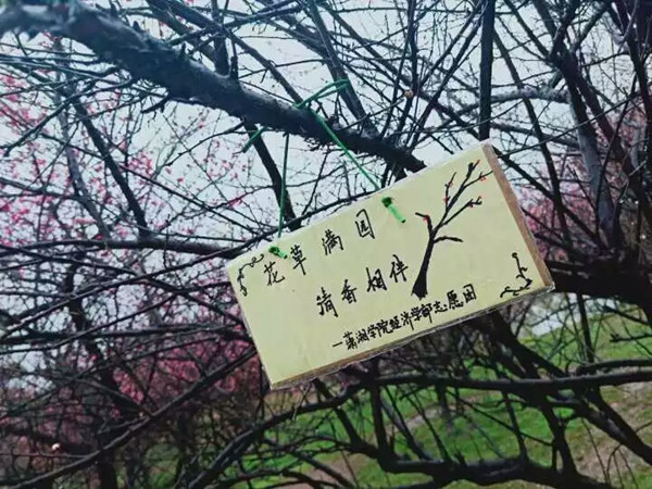 1552359141157162.jpg 3044am永利集团官网